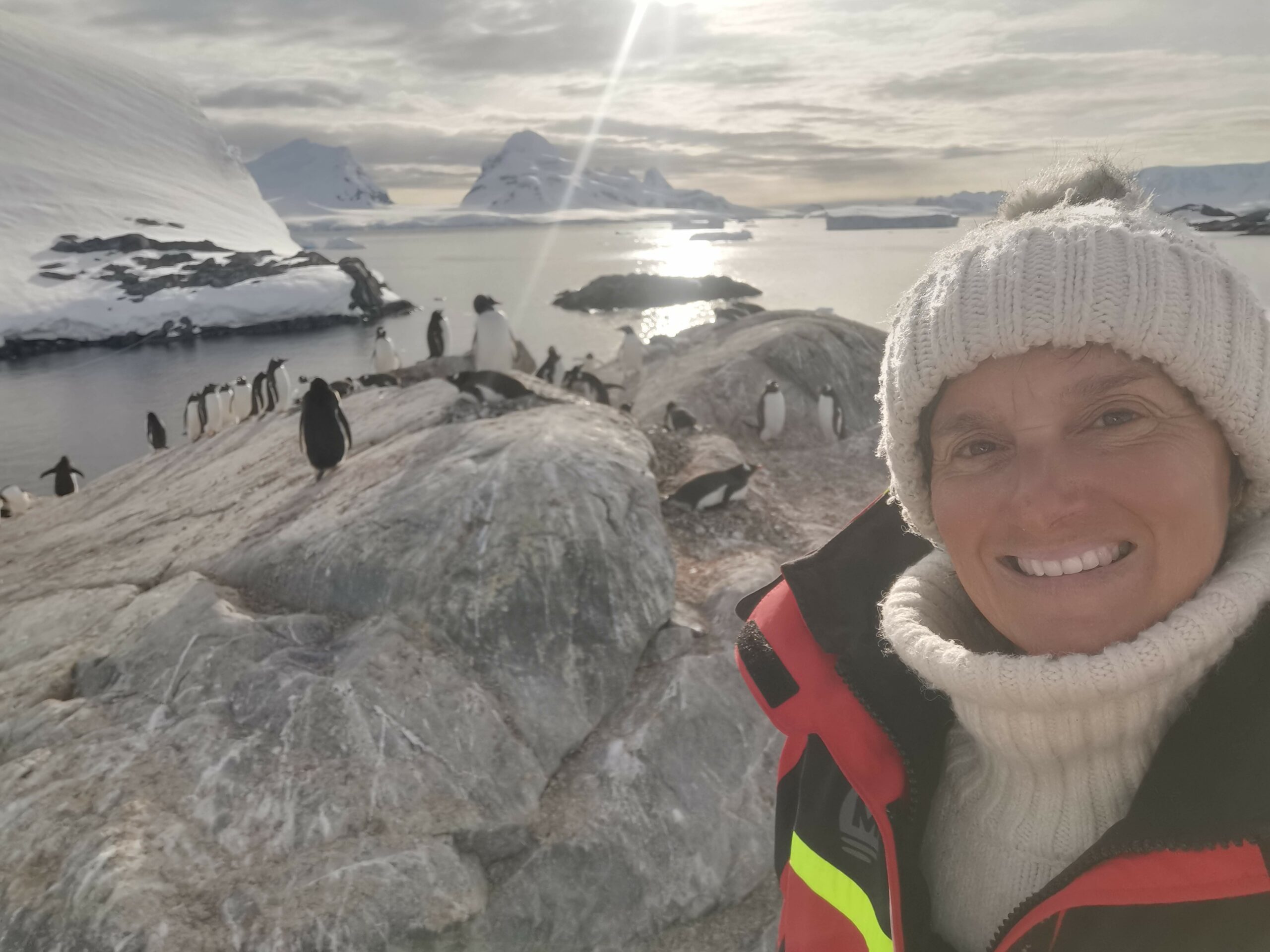 caroline gauthier en antarctique expédition à la voile avec des pingouins