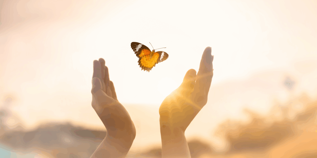 papillon prenant son envol comme une transformation et un éveil