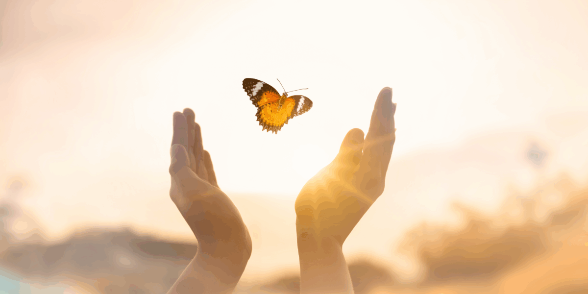 papillon prenant son envol comme une transformation et un éveil