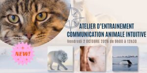 pratiquer la communication animale
